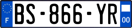 BS-866-YR