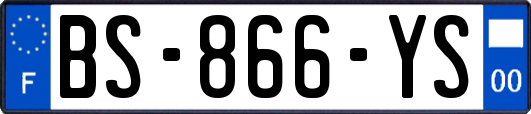 BS-866-YS