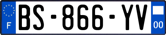 BS-866-YV