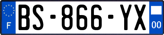 BS-866-YX