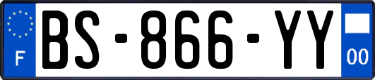 BS-866-YY