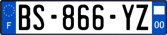 BS-866-YZ