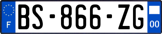 BS-866-ZG