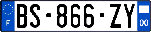 BS-866-ZY