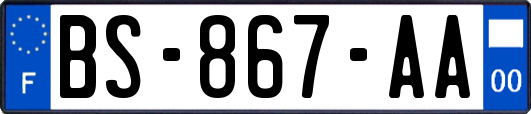 BS-867-AA