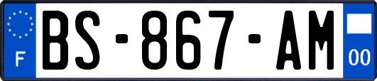 BS-867-AM