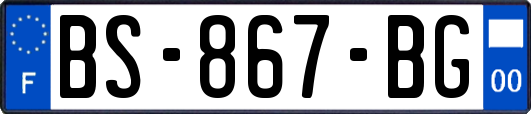 BS-867-BG