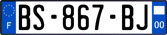 BS-867-BJ