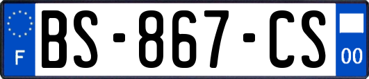BS-867-CS