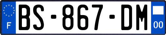 BS-867-DM