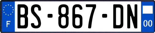 BS-867-DN