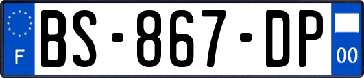 BS-867-DP