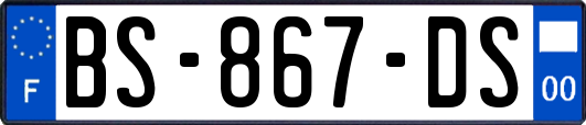 BS-867-DS