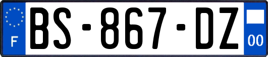 BS-867-DZ