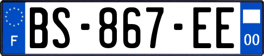 BS-867-EE