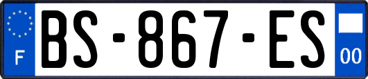 BS-867-ES