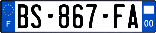 BS-867-FA