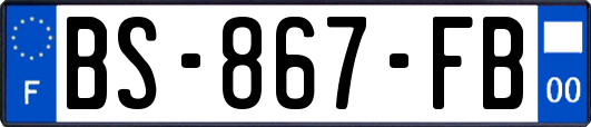 BS-867-FB