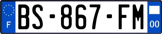 BS-867-FM