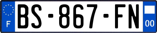 BS-867-FN