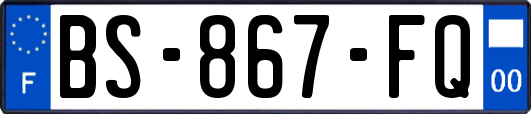 BS-867-FQ