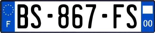 BS-867-FS