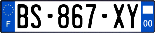 BS-867-XY