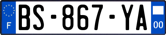 BS-867-YA