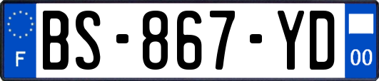BS-867-YD