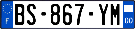 BS-867-YM