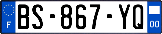 BS-867-YQ