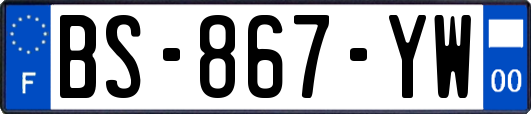 BS-867-YW