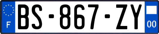 BS-867-ZY