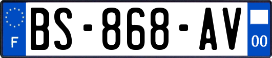 BS-868-AV