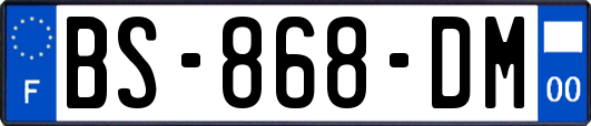 BS-868-DM