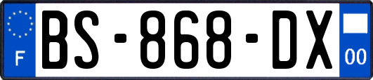 BS-868-DX