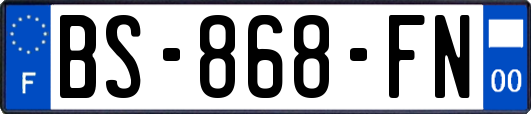 BS-868-FN