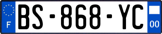 BS-868-YC