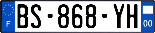 BS-868-YH