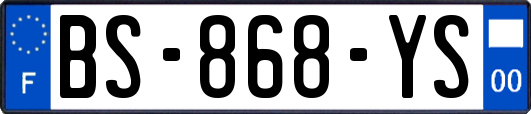 BS-868-YS
