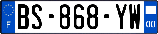 BS-868-YW