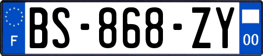 BS-868-ZY