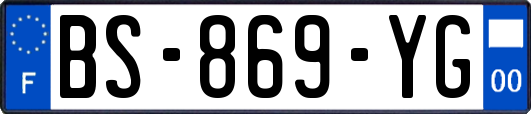 BS-869-YG