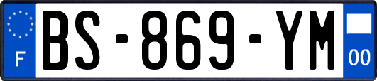 BS-869-YM