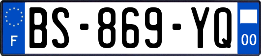BS-869-YQ