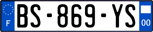 BS-869-YS