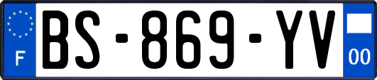 BS-869-YV