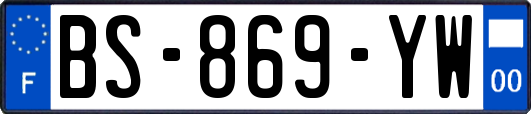 BS-869-YW