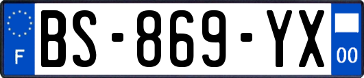 BS-869-YX