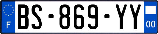 BS-869-YY